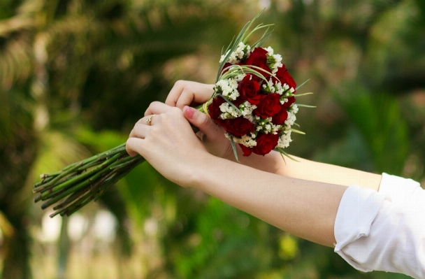 Hand grass branch blossom Photo