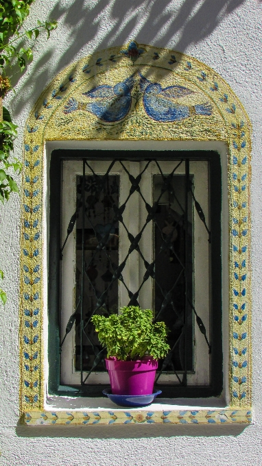 Casa fiore finestra bicchiere