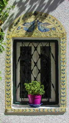 Haus blume fenster glas Foto