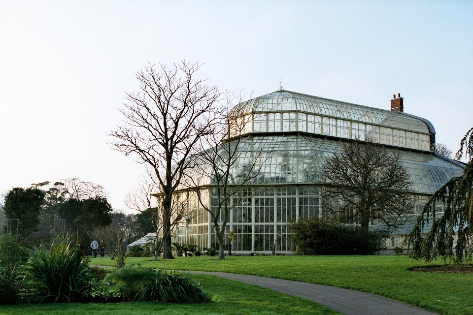 Natur die architektur rasen haus