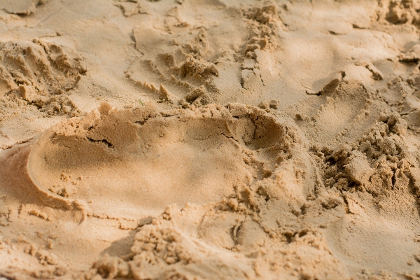 Foto Pantai lanskap laut pasir