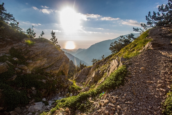 Landscape sea coast nature Photo