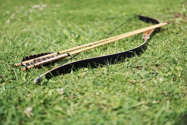 Grass track lawn leaf Photo