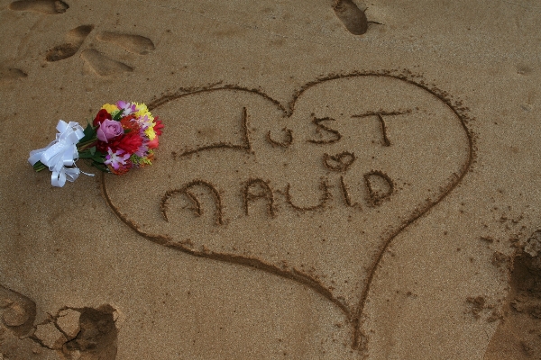 Beach sand flower number Photo