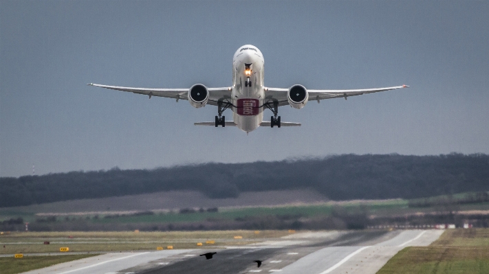 Wing fly airport airplane Photo