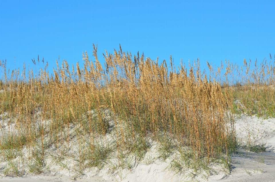 Beach landscape sea coast