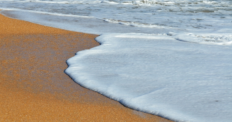 Beach sea coast water Photo