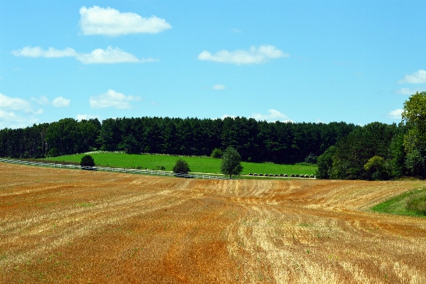 Landscape nature grass outdoor Photo