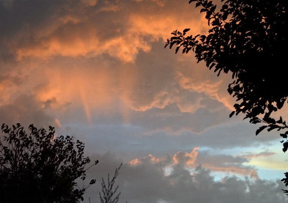 Nature cloud sky sun Photo