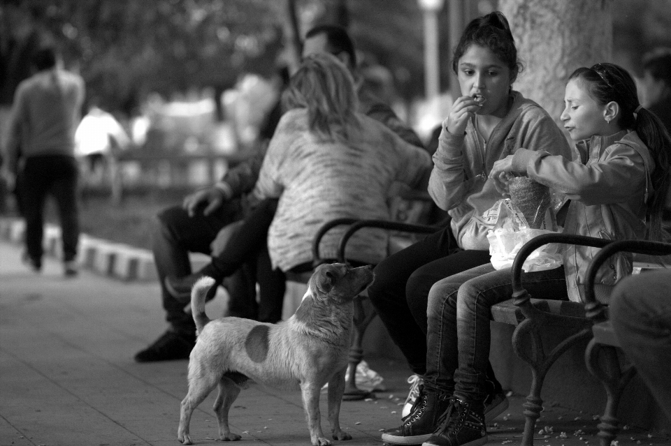 En blanco y negro
 gente camino calle