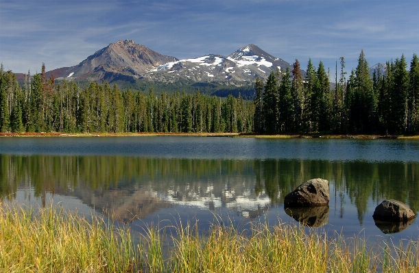 Landscape tree water nature Photo