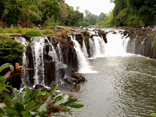 Water forest waterfall fall Photo