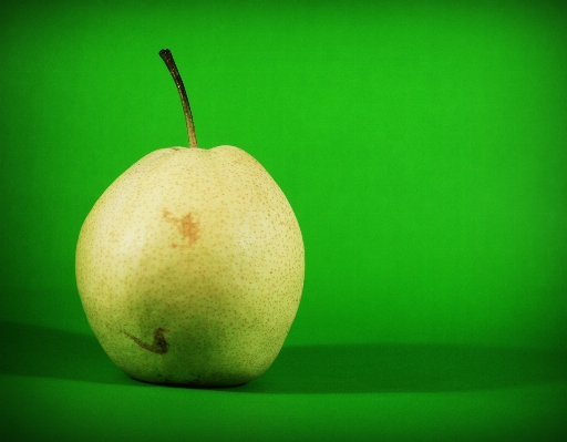 Apple 自然 植物 白 写真