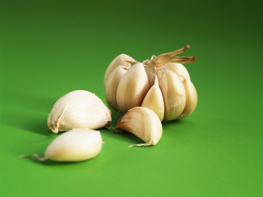 Group plant white fruit Photo