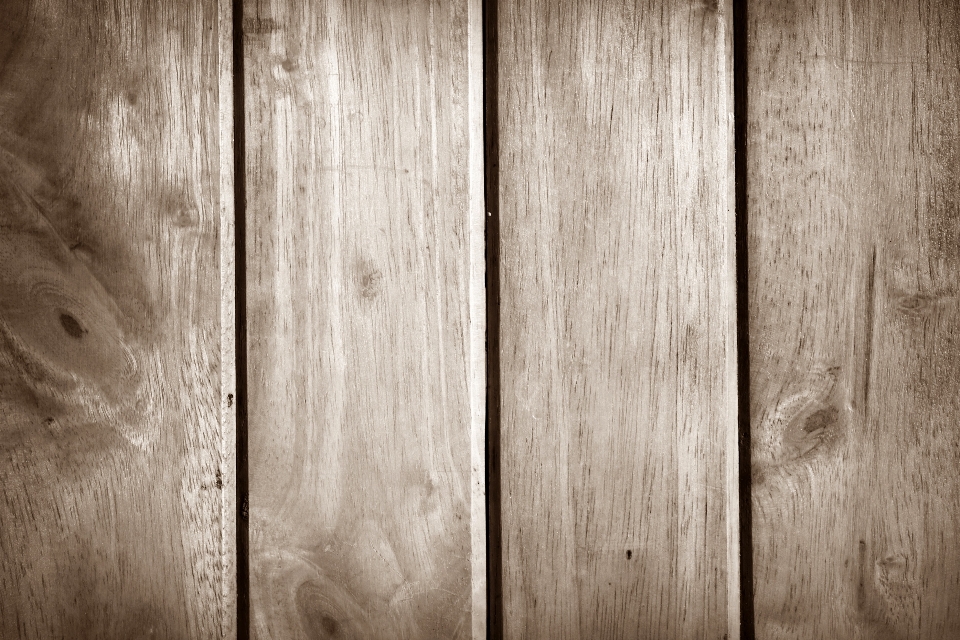 Nature abstract fence black and white