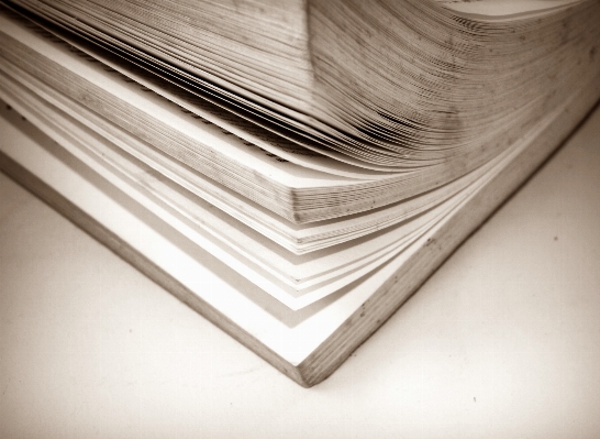 Book creative wing wood Photo