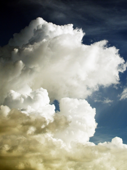 Natur draussen licht wolke