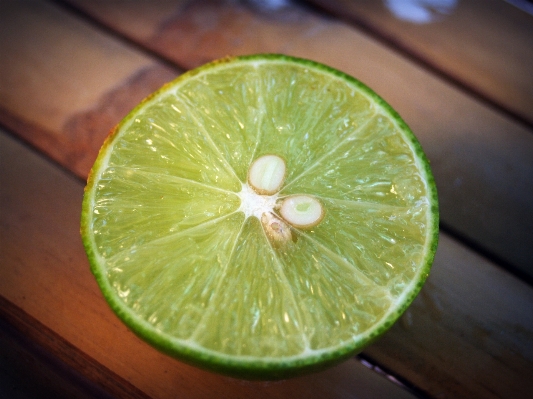 自然 ブランチ 植物 白 写真