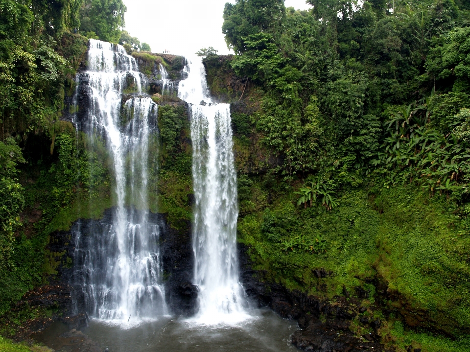 Air hutan terjun gerakan