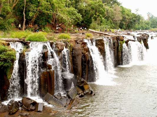 Water forest waterfall wilderness Photo