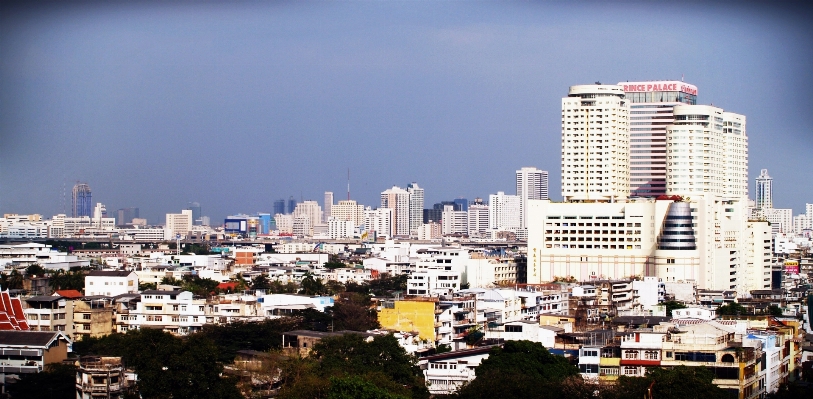 風景 草 地平線 ぼかし 写真