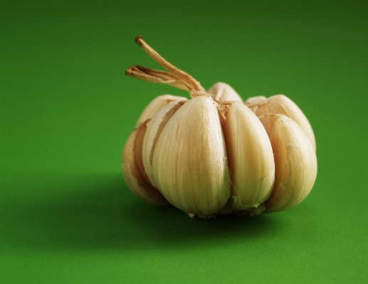 Group plant white fruit Photo