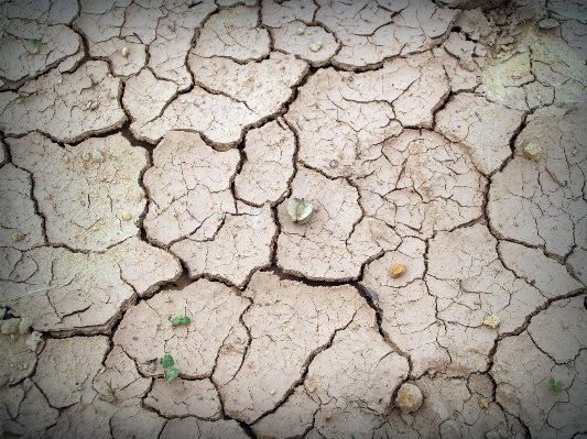 Nature ground texture land Photo