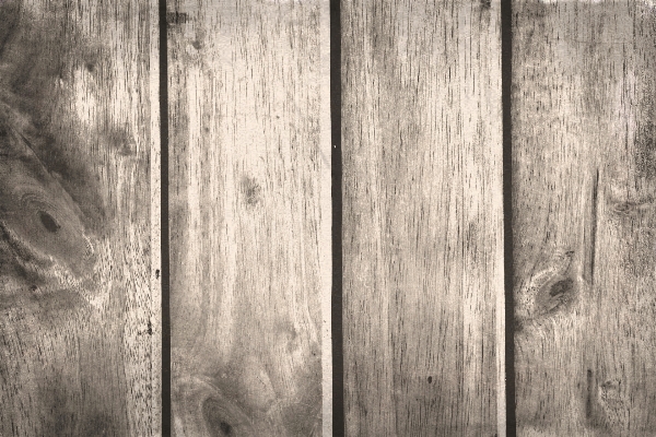 Abstract black and white structure wood Photo