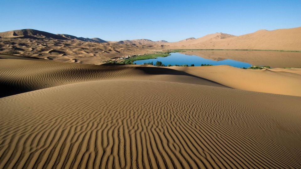 Paisaje naturaleza arena desierto
