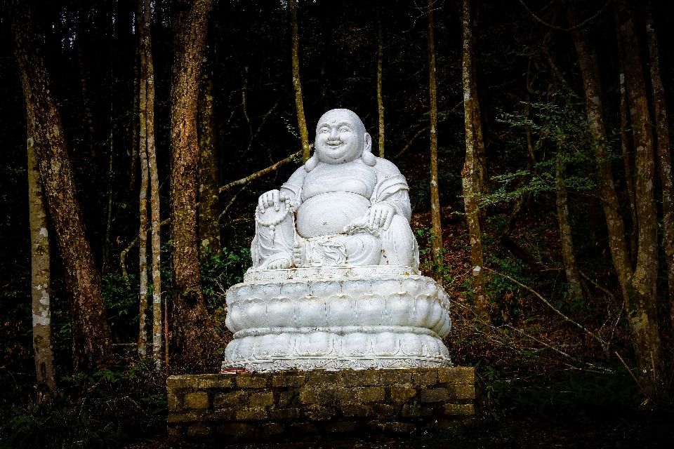 建筑学 人们 老的 石头