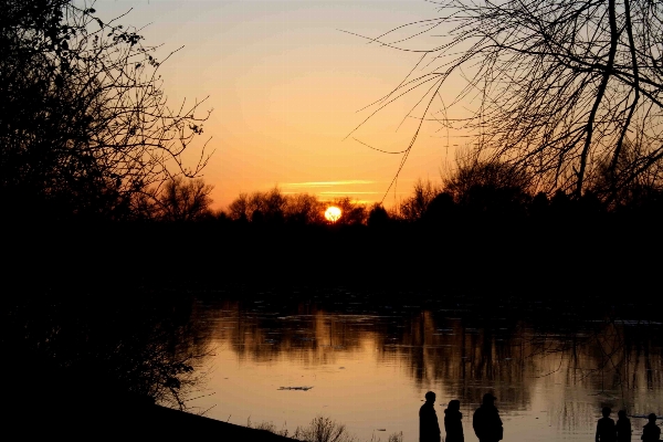 Landscape tree water nature Photo