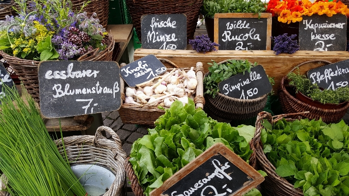 Farm city food vendor Photo