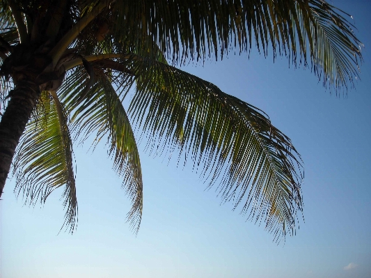 Beach landscape sea coast Photo