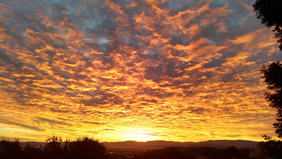 Horizont wolke himmel sonne