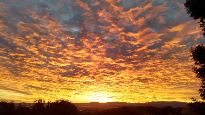 Photo Horizon nuage ciel soleil