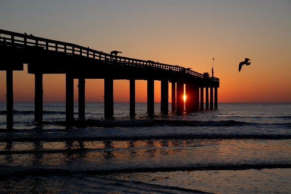 Beach landscape sea coast Photo