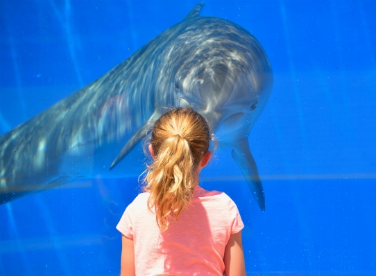 Outdoor ocean people animal Photo