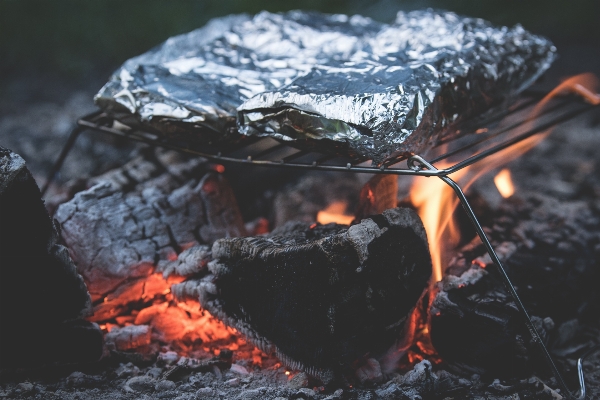 Outdoor wilderness glowing wood Photo