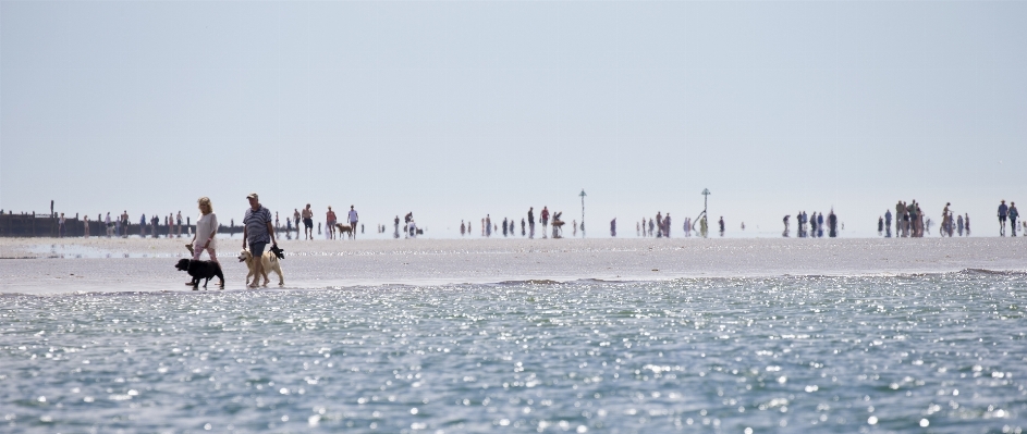 Beach sea coast sand Photo