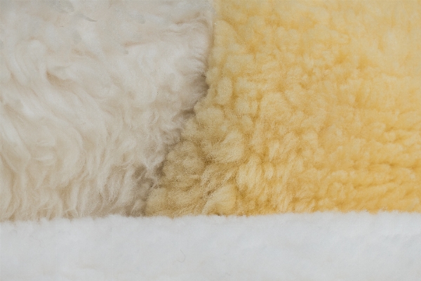 Structure texture fur fluffy Photo