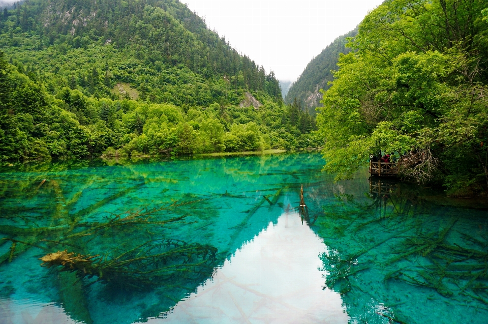 Lago fiume valle stream