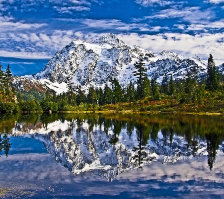 風景 水 自然 森 写真