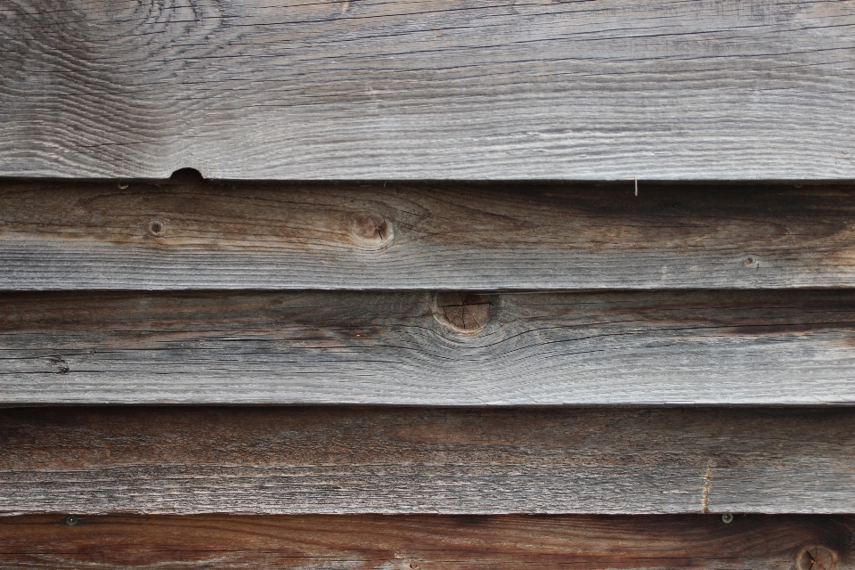 Nature branch fence structure