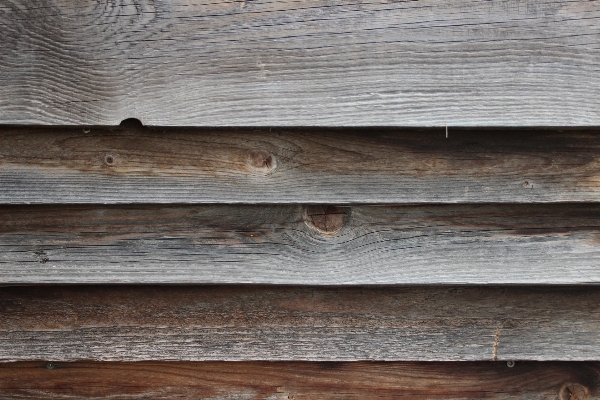 Nature branch fence structure Photo