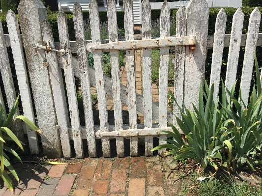 Fence wood white lawn Photo