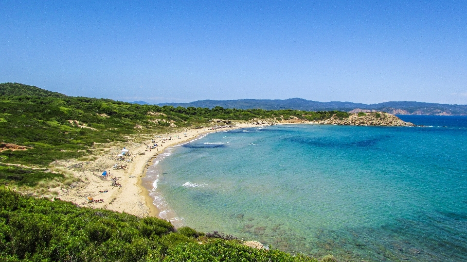 Beach sea coast nature