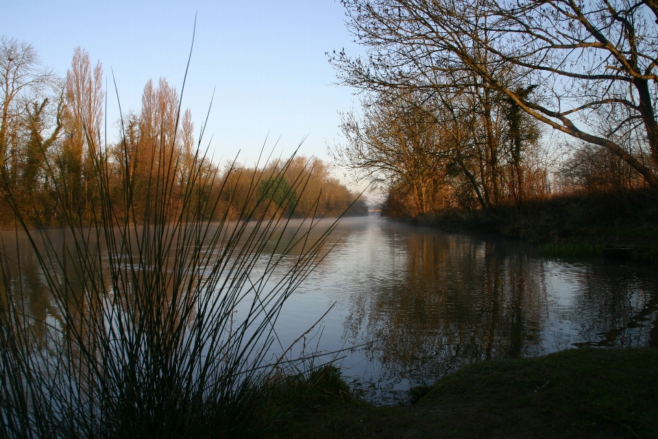 Krajobraz drzewo woda natura