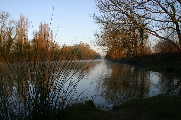 Landscape tree water nature Photo