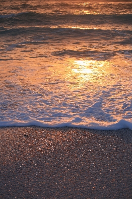 Beach sea coast sand Photo