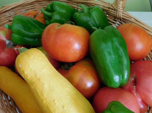 植物 食べ物 生産 野菜 写真